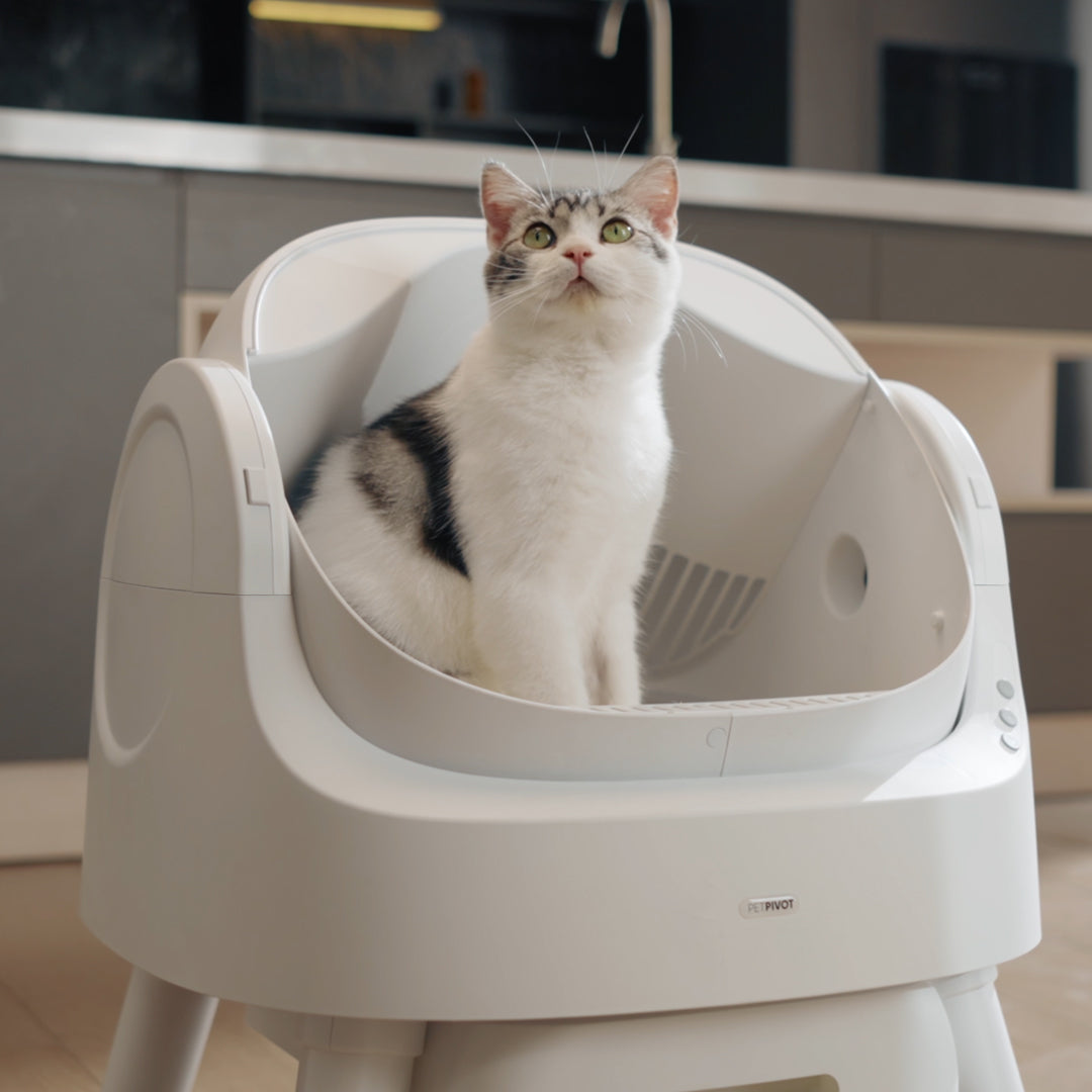 😺 PurrClean™ Smart Litter Box – Automatic Odor-Free Cleaning