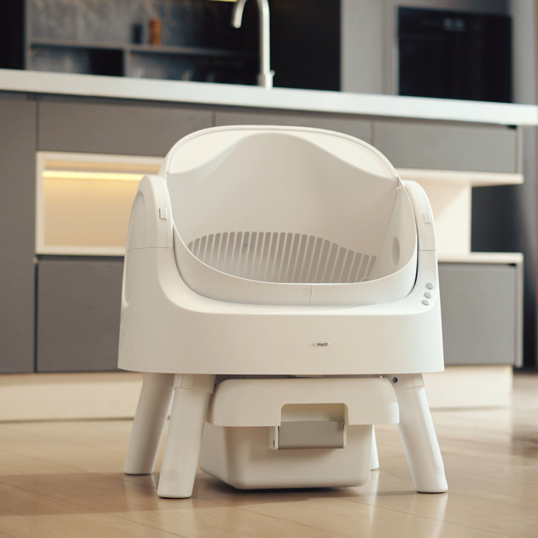 😺 PurrClean™ Smart Litter Box – Automatic Odor-Free Cleaning