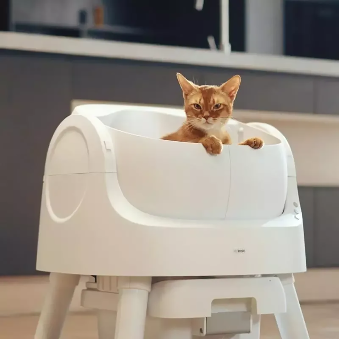 😺 PurrClean™ Smart Litter Box – Automatic Odor-Free Cleaning