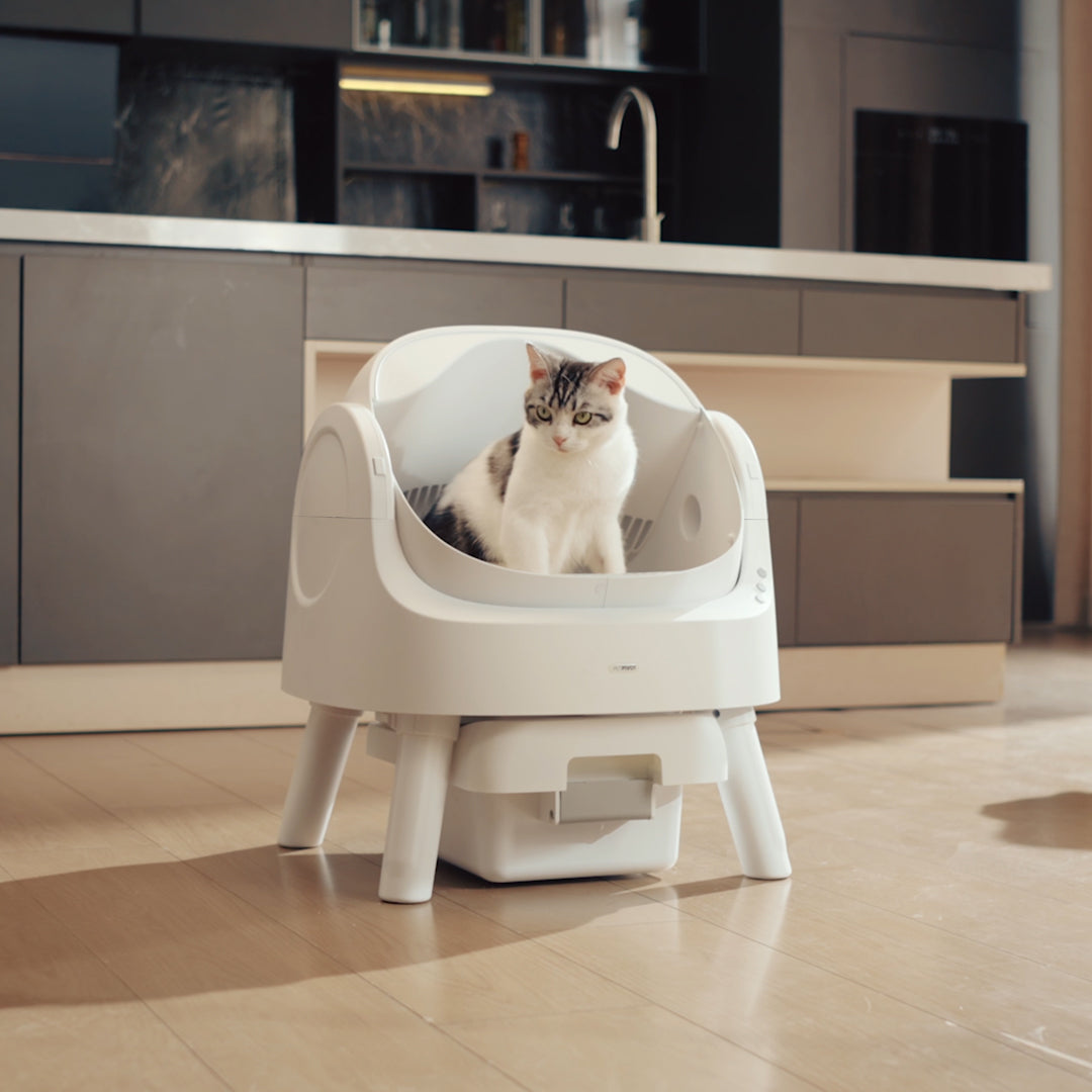 😺 PurrClean™ Smart Litter Box – Automatic Odor-Free Cleaning